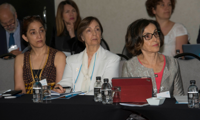 Rosaly Favero Krzyzanowski (middle), supervisor of Research Supported by FAPESP. Global Alignment of Open Access Initiative. Global Research Council Regional Meeting, São Paulo, Brazil. May 1, 2019 (<i>credit: Piu Dip / Agência FAPESP</i>)