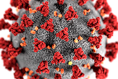 FAPESP financiará pesquisas para o combate ao coronavírus 