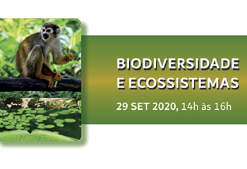 Biodiversidade e Ecossistemas é o tema do próximo webinário do Programa FAPESP de Mudanças Climáticas