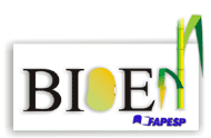  BIOEN, FAPESP Bioenergy Research Program