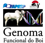 FAPESP lança Genoma Funcional do Boi