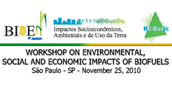 Workshop on Environmental, Social and Economic Impacts of Biofuels (November 25, 2010)