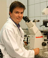 Flávio Vieira Meirelles